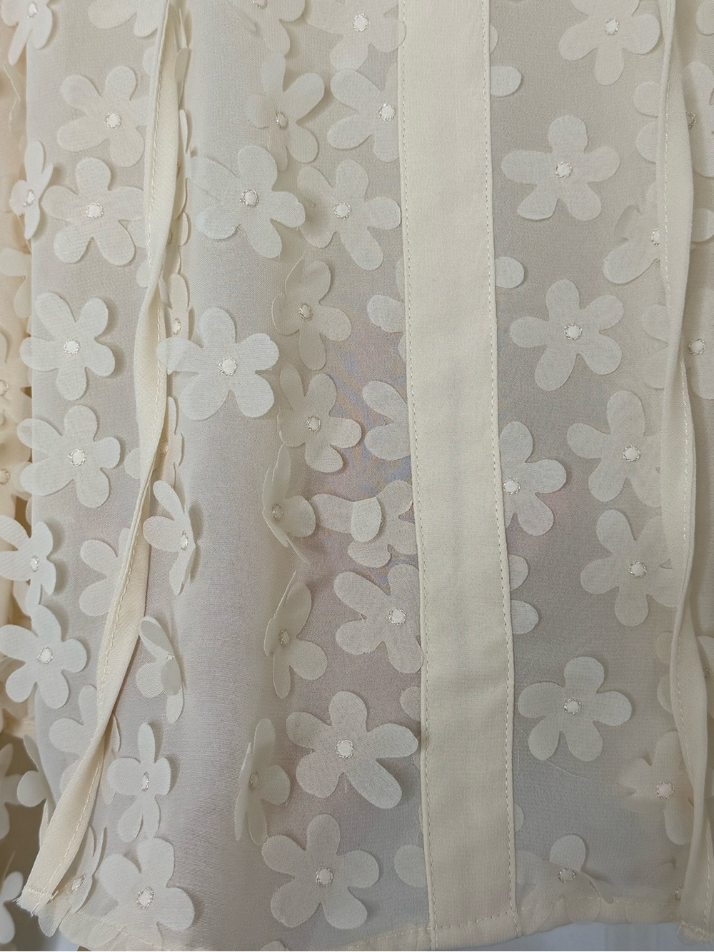 Cream Floral Appliqué Sheer Blouse - Picture 3 of 6